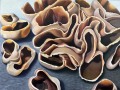 Evy McLean, Conforming Brown Cup Fungus, 36x48, Oil on canvas