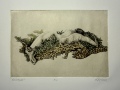 Enveloped_PhotoGravureChineColle