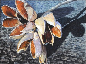 Yucca Pods, Monotype - oil on paper